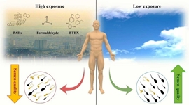 The consequences of climate change and male reproductive health: A review of the possible impact and mechanisms